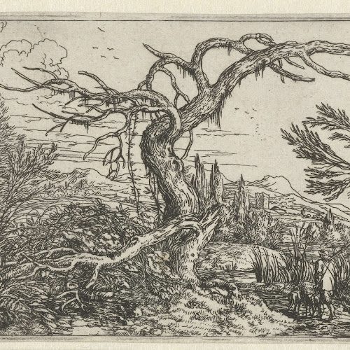 Historische prent van een dorre boom in een landschap